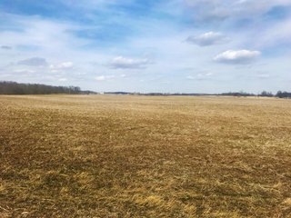 Property photo 1 - LAND AUCTION - 71+/- ACRES IN 2 TRACTS IN WILLIAMS COUNTY, OHIO